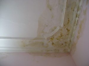 Hậu quả của việc không thi công thấm dột từ đầu